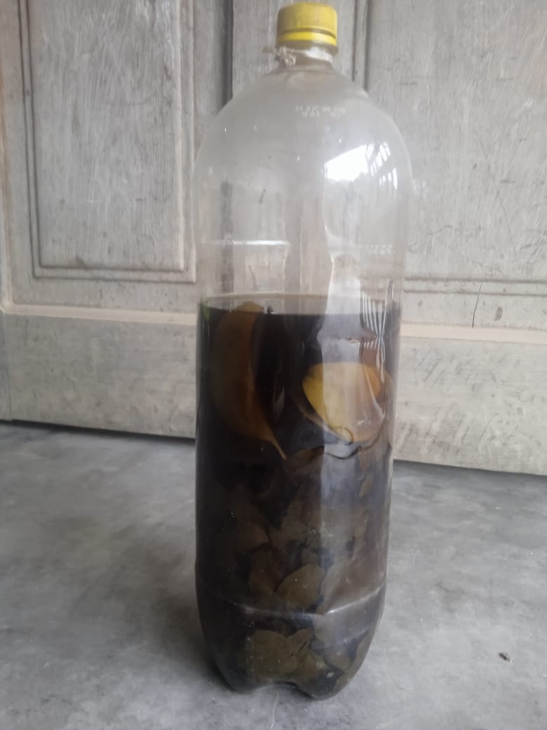 Producto